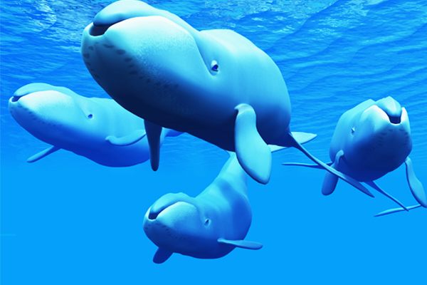 Bowhead Whale
