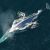 Record number of blue whales in Great Australian Bight spotted